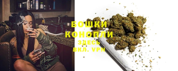 ешки Арсеньев