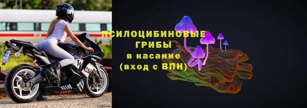 молекула духа Надым